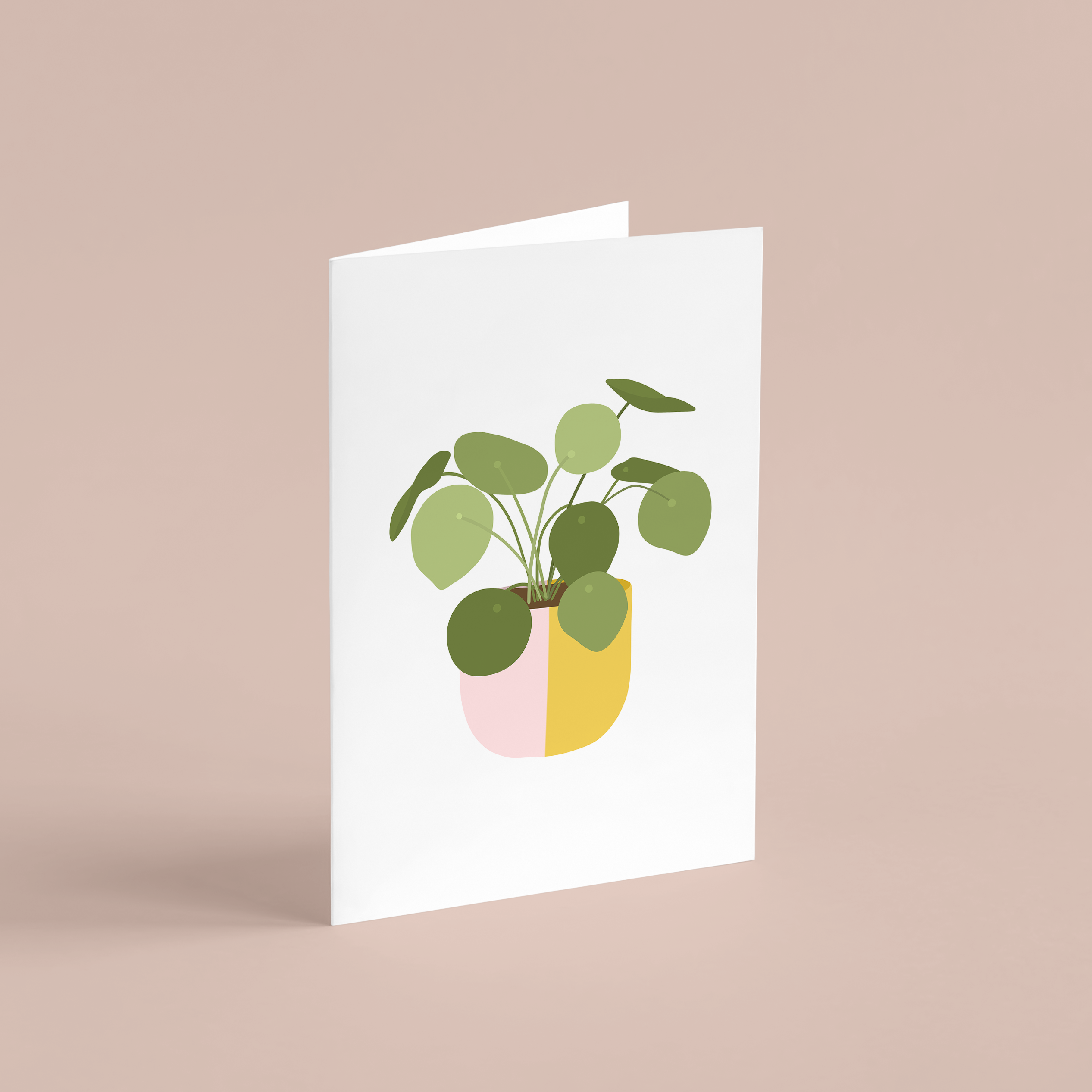 Any Occasion Cards - 10 Card Set